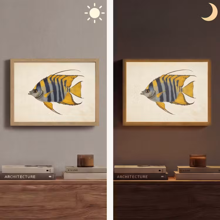 Lightbox - Wandlamp - Vis - Sierlijk - Vinnen - Illustratie — 6
