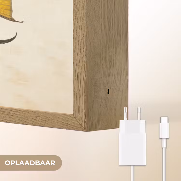 Lightbox - Wandlamp - Vis - Sierlijk - Vinnen - Illustratie — 7