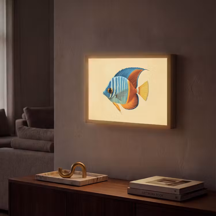 Lightbox - Wandlamp - Vis - Vinnen - Blauw - Ogen — 2