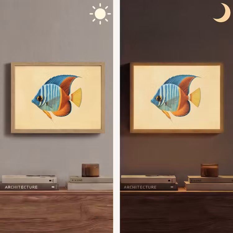 Lightbox - Wandlamp - Vis - Vinnen - Blauw - Ogen — 6