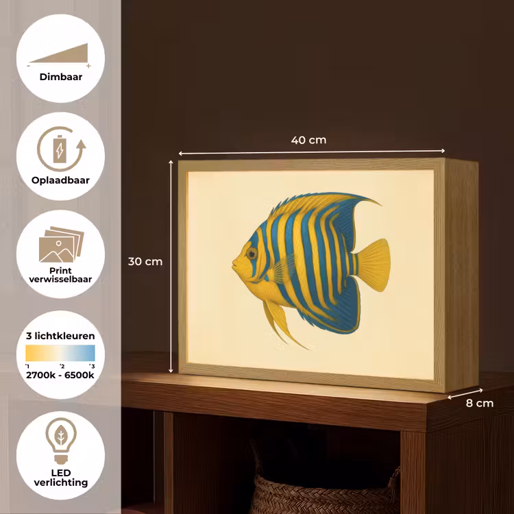 Lightbox - Wandlamp - Felgeel - Vis - Strepen - Vinnen — 10