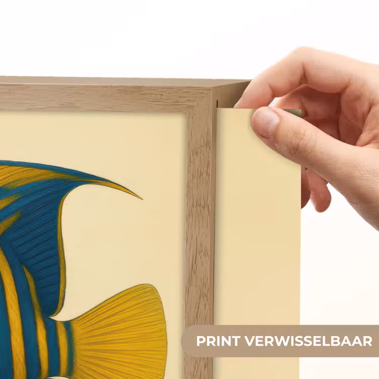 Lightbox - Wandlamp - Felgeel - Vis - Strepen - Vinnen — 5