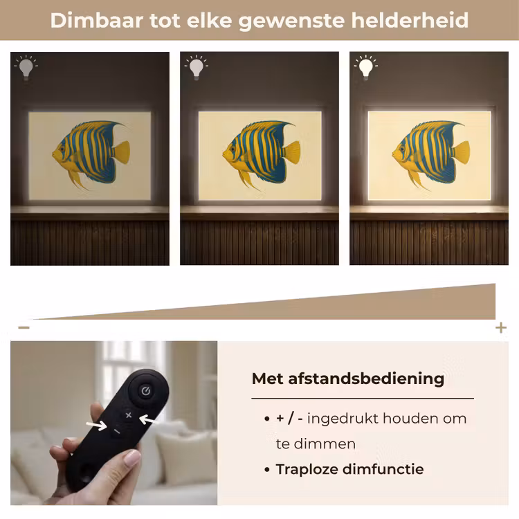 Lightbox - Wandlamp - Felgeel - Vis - Strepen - Vinnen — 9
