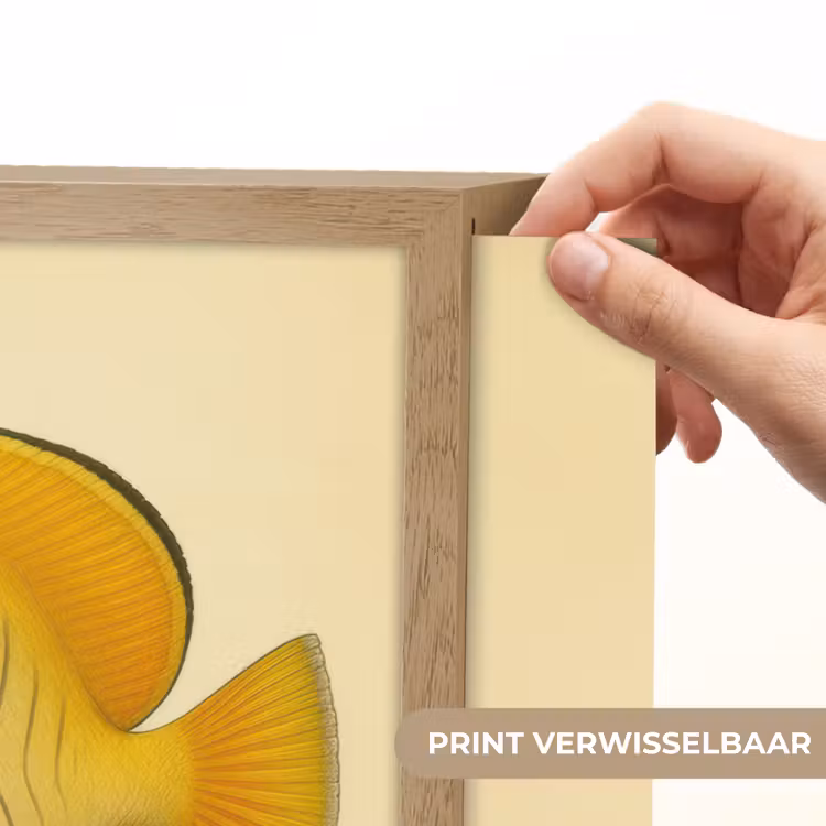 Lightbox - Wandlamp - Ovaal - Vis - Geel - Schubben — 5