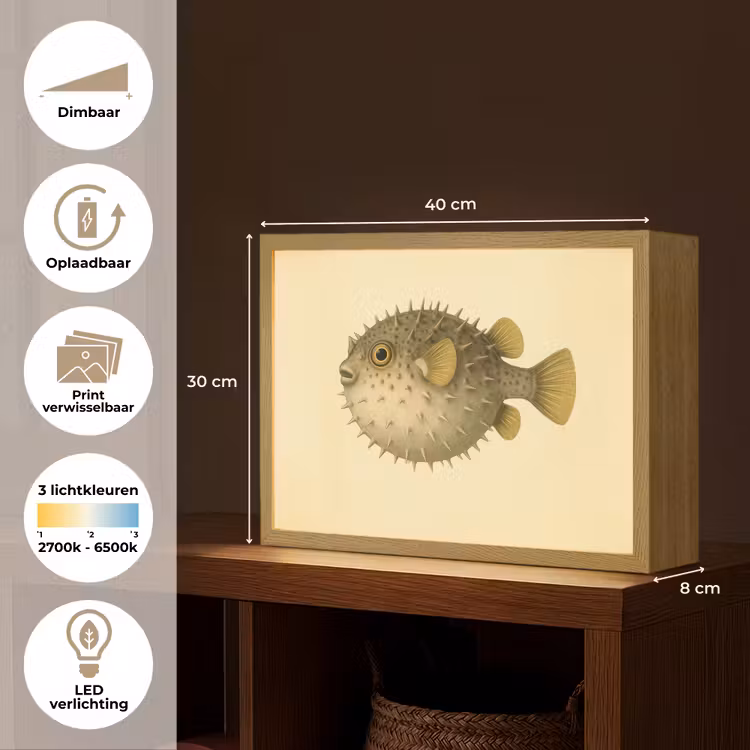 Lightbox - Wandlamp - Stekels - Vis - Opgeblazen - Bruin — 10