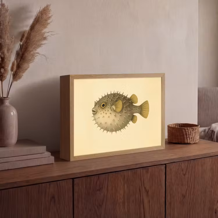 Lightbox - Wandlamp - Stekels - Vis - Opgeblazen - Bruin — 4