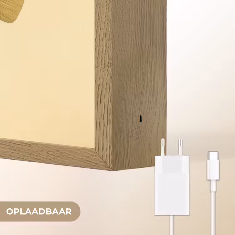 Lightbox - Wandlamp - Stekels - Vis - Opgeblazen - Bruin — 7