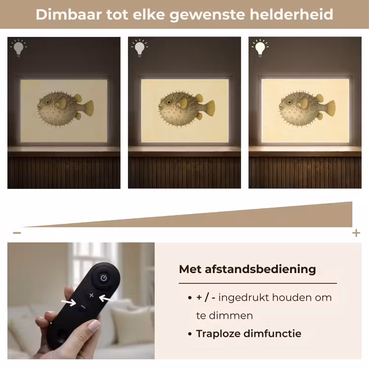 Lightbox - Wandlamp - Stekels - Vis - Opgeblazen - Bruin — 9