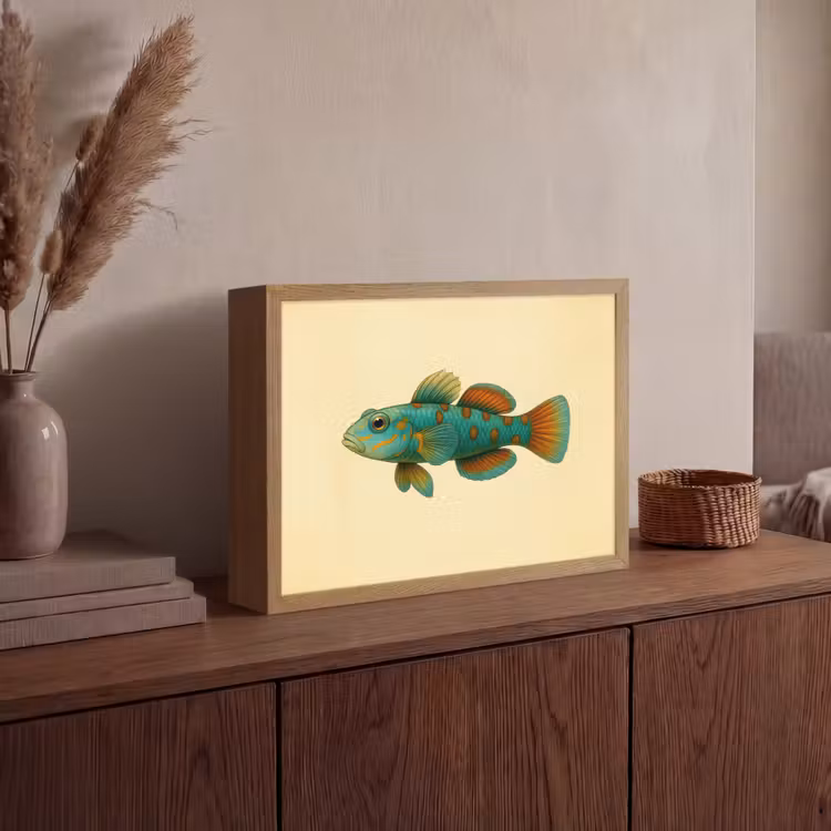 Lightbox - Wandlamp - Vis - Blauw - Stippen - Schubben — 4