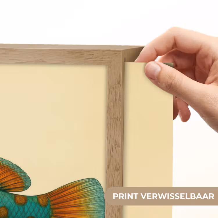 Lightbox - Wandlamp - Vis - Blauw - Stippen - Schubben — 5