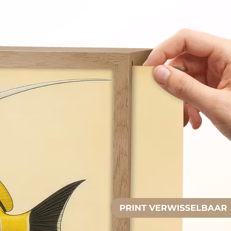 Lightbox - Wandlamp - Vis - Sierlijk - Rugvin - Geel — 5