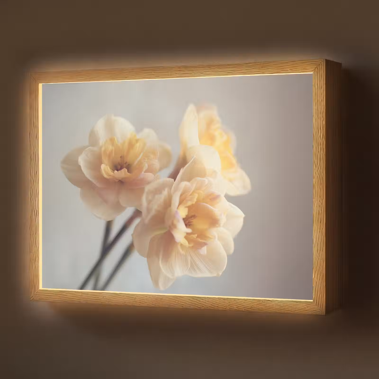 Lightbox - Wandlamp - Narcissen - Geel - Bloemblaadjes — 1