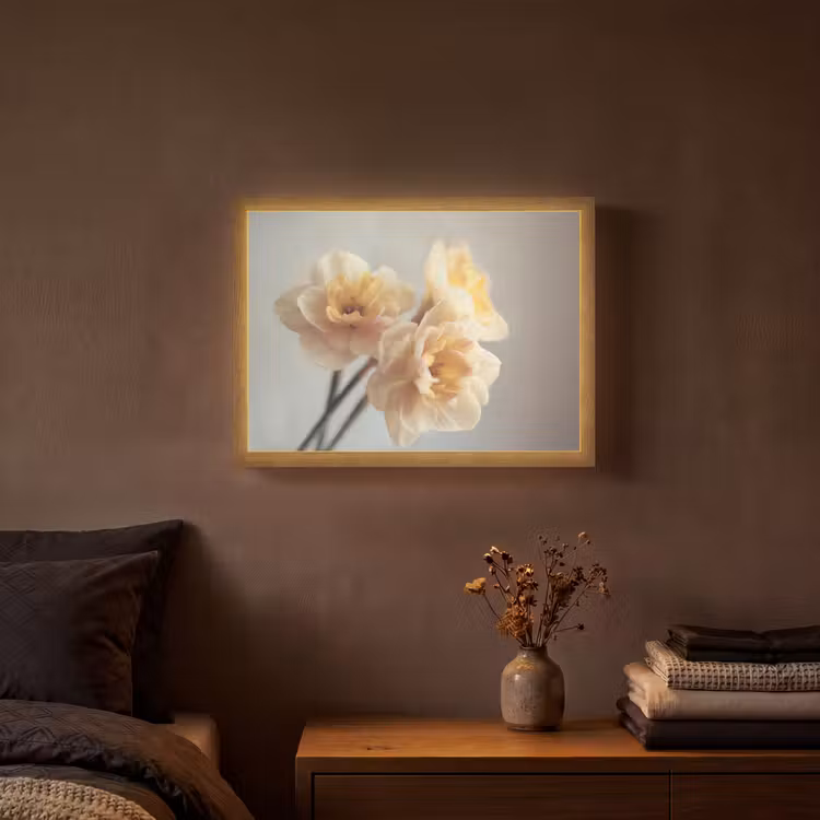 Lightbox - Wandlamp - Narcissen - Geel - Bloemblaadjes — 3