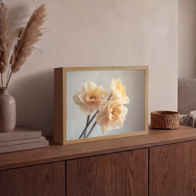 Lightbox - Wandlamp - Narcissen - Geel - Bloemblaadjes — 4