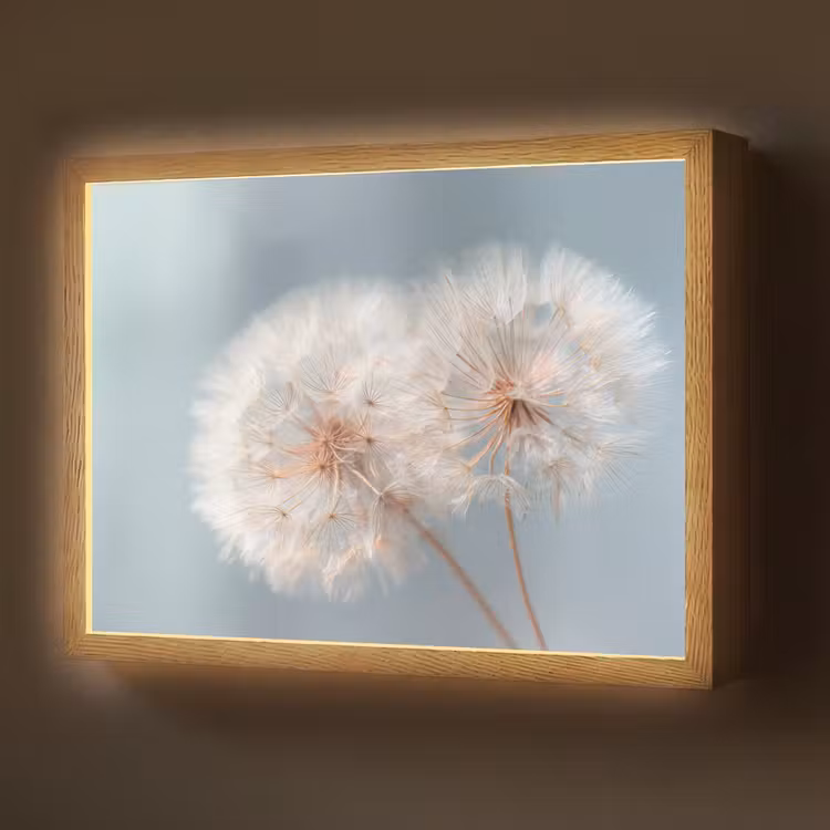 Lightbox - Wandlamp - Paardenbloemen - Pluisjes - Wit — 1