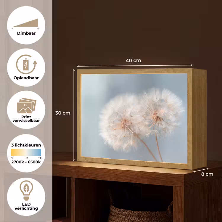 Lightbox - Wandlamp - Paardenbloemen - Pluisjes - Wit — 10