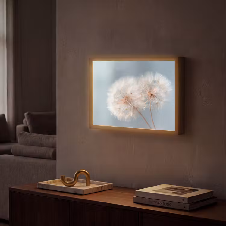 Lightbox - Wandlamp - Paardenbloemen - Pluisjes - Wit — 2