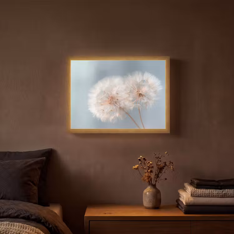Lightbox - Wandlamp - Paardenbloemen - Pluisjes - Wit — 3