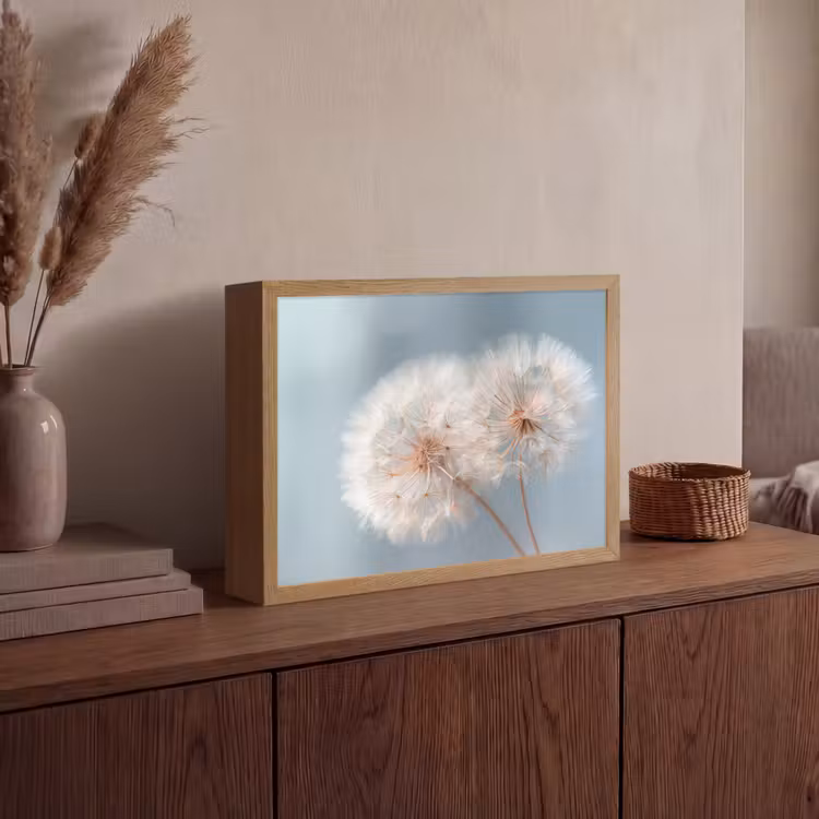 Lightbox - Wandlamp - Paardenbloemen - Pluisjes - Wit — 4