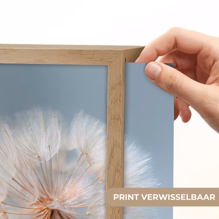 Lightbox - Wandlamp - Paardenbloemen - Pluisjes - Wit — 5
