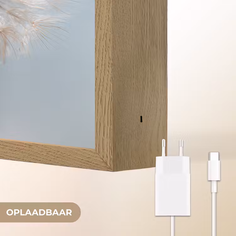 Lightbox - Wandlamp - Paardenbloemen - Pluisjes - Wit — 7