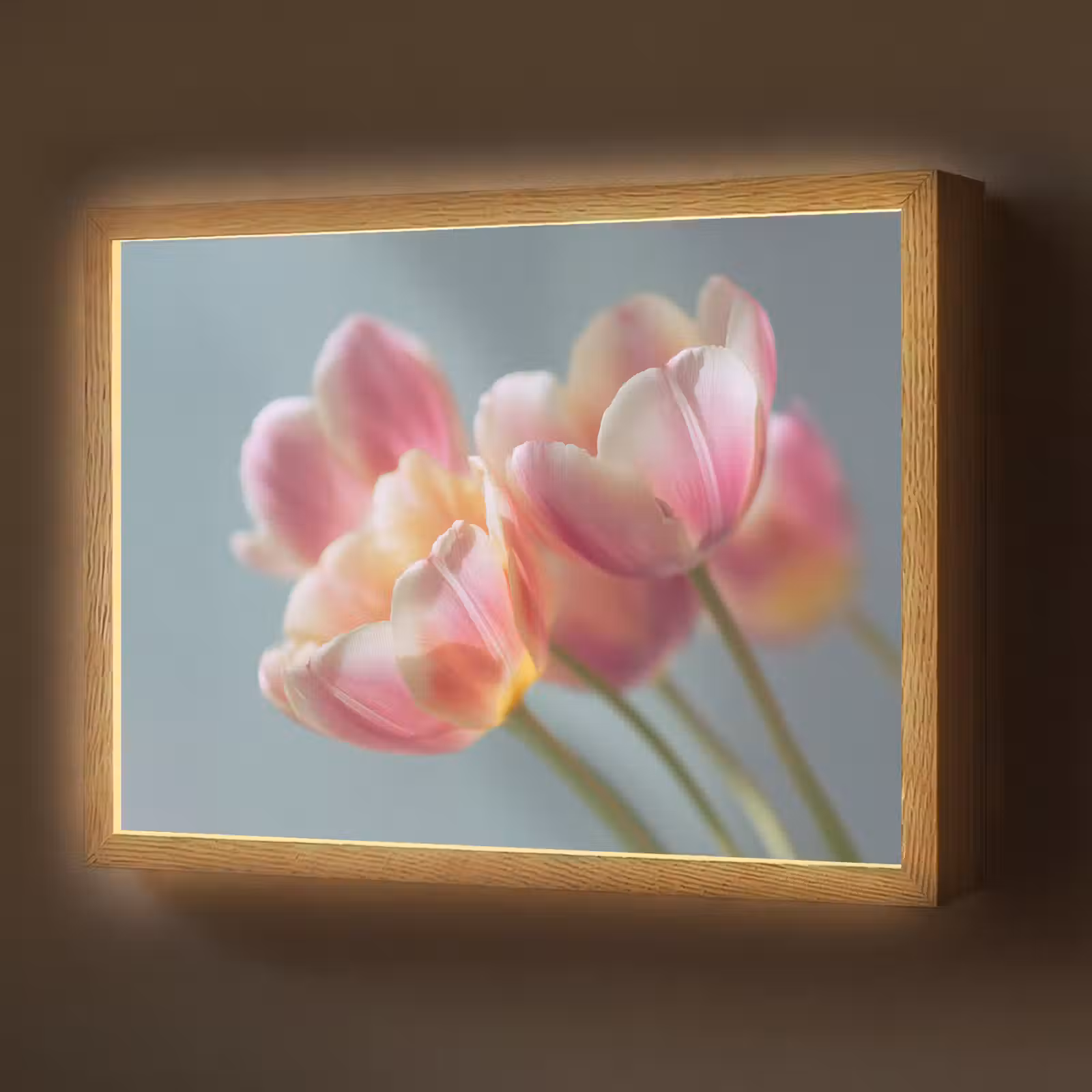 Lightbox - Wandlamp - Tulpen - Roze - Stelen — 1