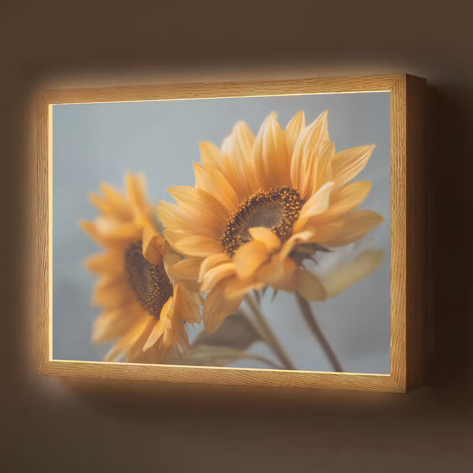 Lightbox - Wandlamp - Zonnebloemen - Geel - Wazig — 1