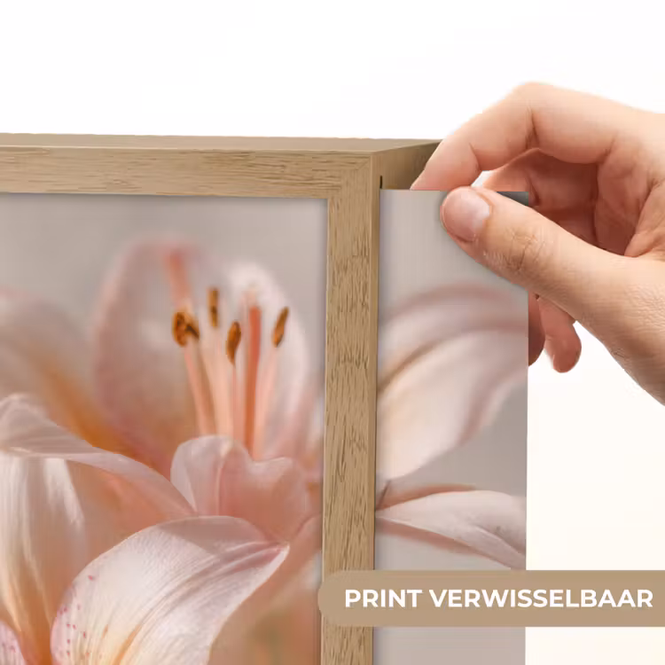 Lightbox - Wandlamp - Lelies - Meeldraden - Roze - Wazig — 5
