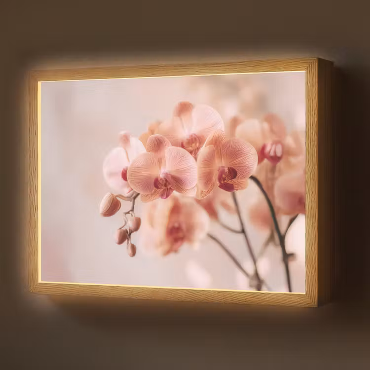 Lightbox - Wandlamp - Orchidee - Bloemen - Roze - Bloemblaadjes — 1