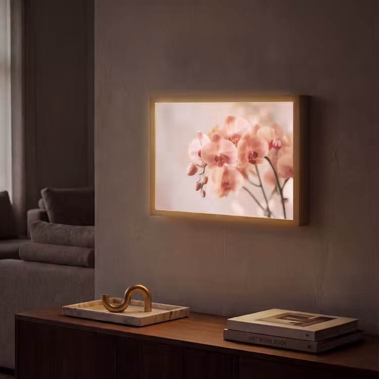 Lightbox - Wandlamp - Orchidee - Bloemen - Roze - Bloemblaadjes — 2
