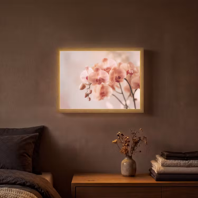 Lightbox - Wandlamp - Orchidee - Bloemen - Roze - Bloemblaadjes — 3