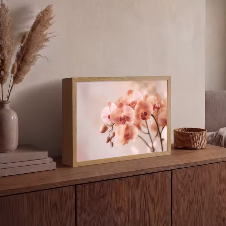 Lightbox - Wandlamp - Orchidee - Bloemen - Roze - Bloemblaadjes — 4