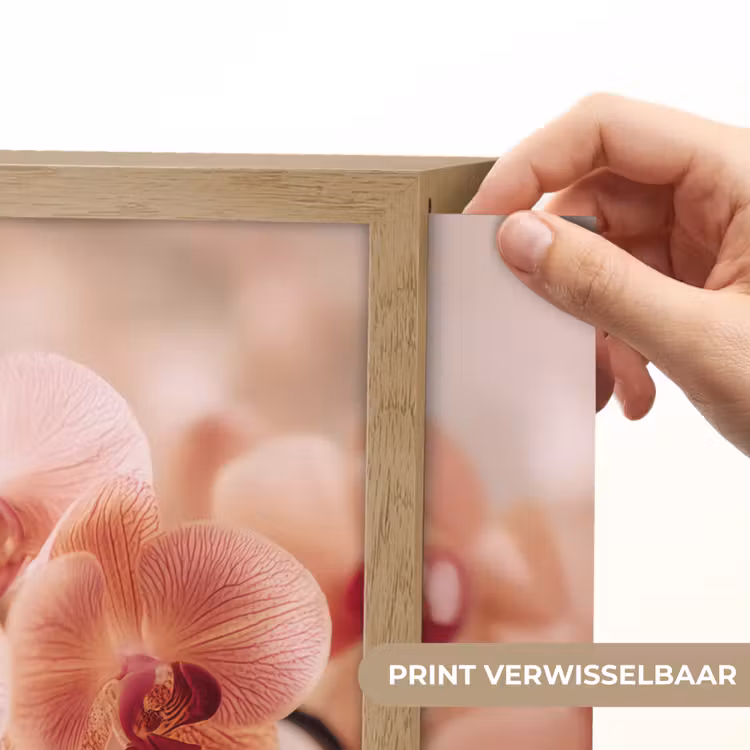 Lightbox - Wandlamp - Orchidee - Bloemen - Roze - Bloemblaadjes — 5