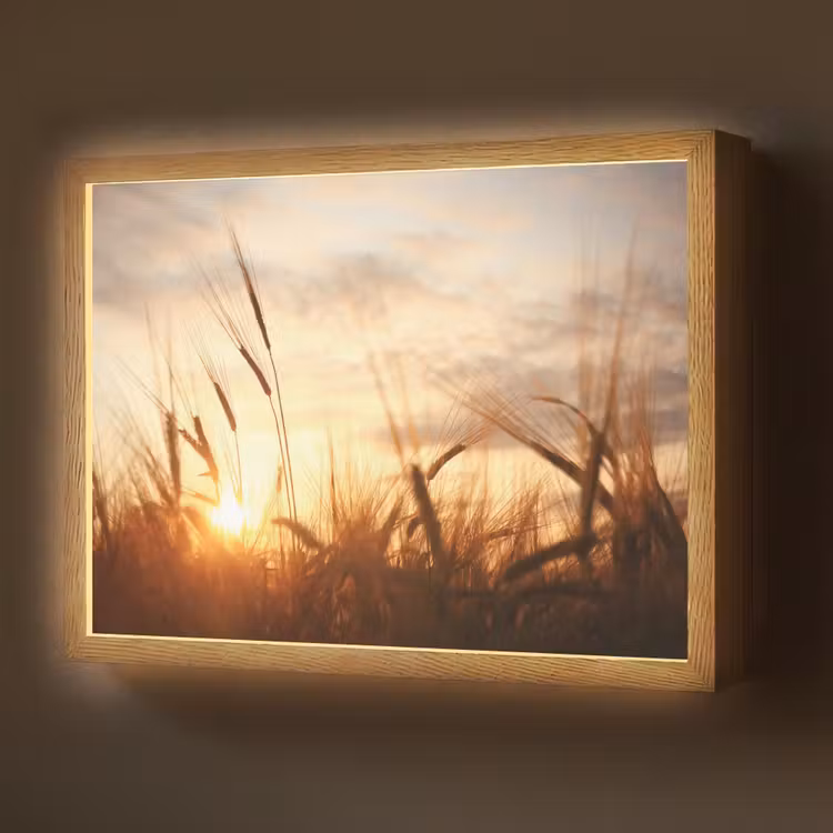 Lightbox - Wandlamp - Riet - Gras - Zonsondergang - Natuur - Horizon — 1