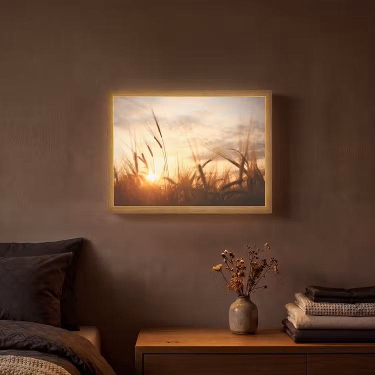 Lightbox - Wandlamp - Riet - Gras - Zonsondergang - Natuur - Horizon — 3