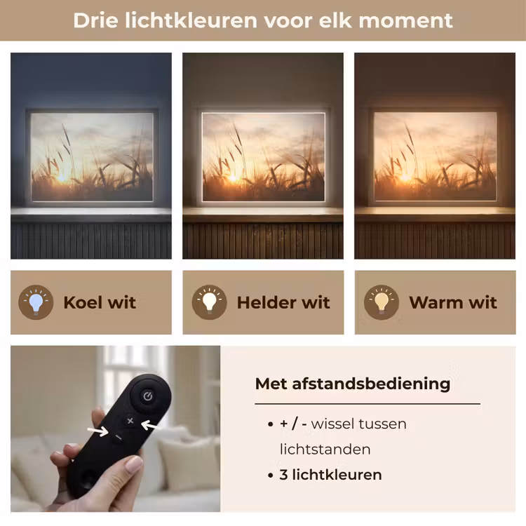 Lightbox - Wandlamp - Riet - Gras - Zonsondergang - Natuur - Horizon — 8
