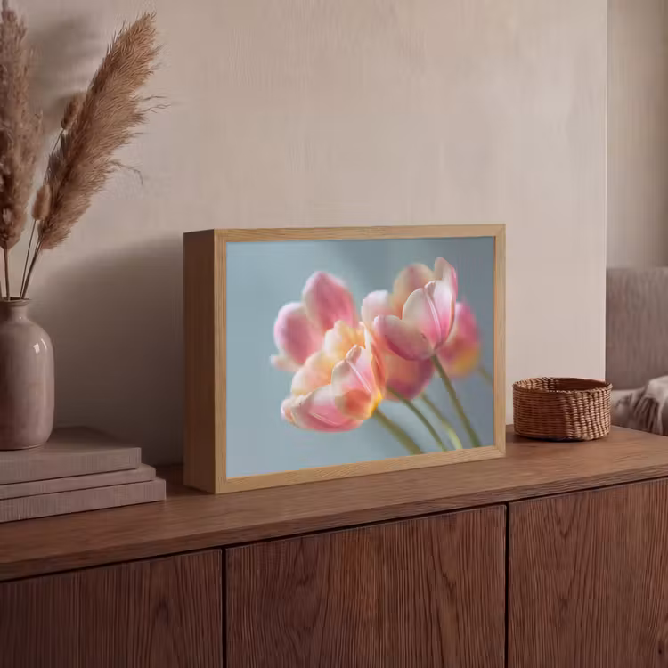 Lightbox - Wandlamp - Tulpen - Roze - Stelen — 4