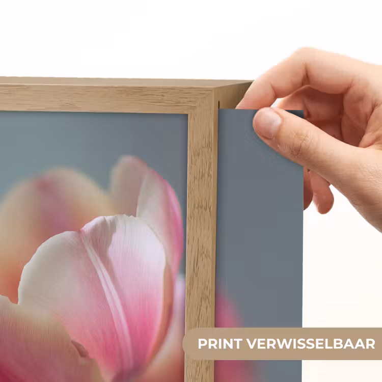 Lightbox - Wandlamp - Tulpen - Roze - Stelen — 5