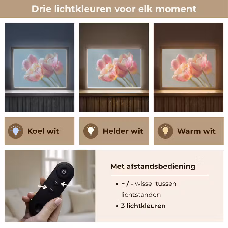 Lightbox - Wandlamp - Tulpen - Roze - Stelen — 8