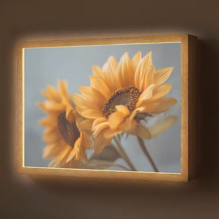 Lightbox - Wandlamp - Zonnebloemen - Geel - Wazig — 1