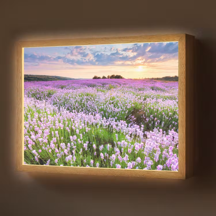 Lightbox - Wandlamp - Lavendel - Bloemen - Zonsondergang - Paars - Weide — 1