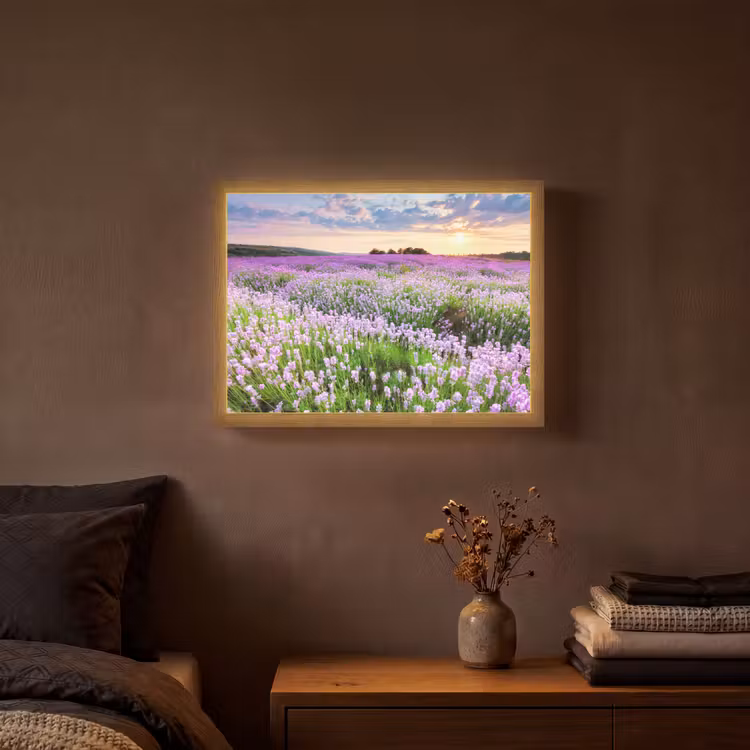 Lightbox - Wandlamp - Lavendel - Bloemen - Zonsondergang - Paars - Weide — 3