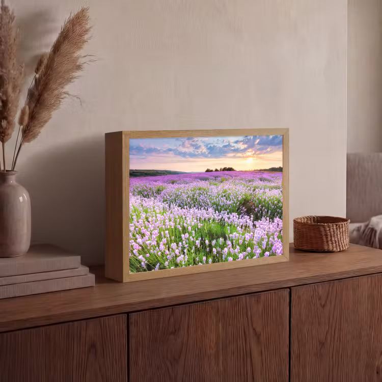 Lightbox - Wandlamp - Lavendel - Bloemen - Zonsondergang - Paars - Weide — 4