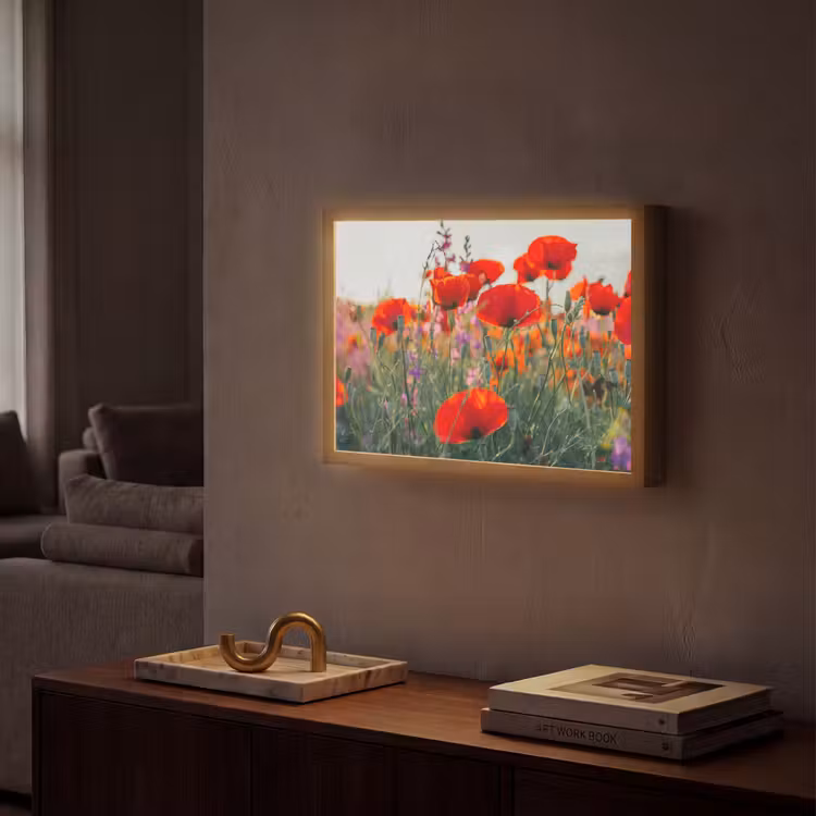 Lightbox - Wandlamp - Klaproos - Bloemen - Rood - Paars - Weide — 2