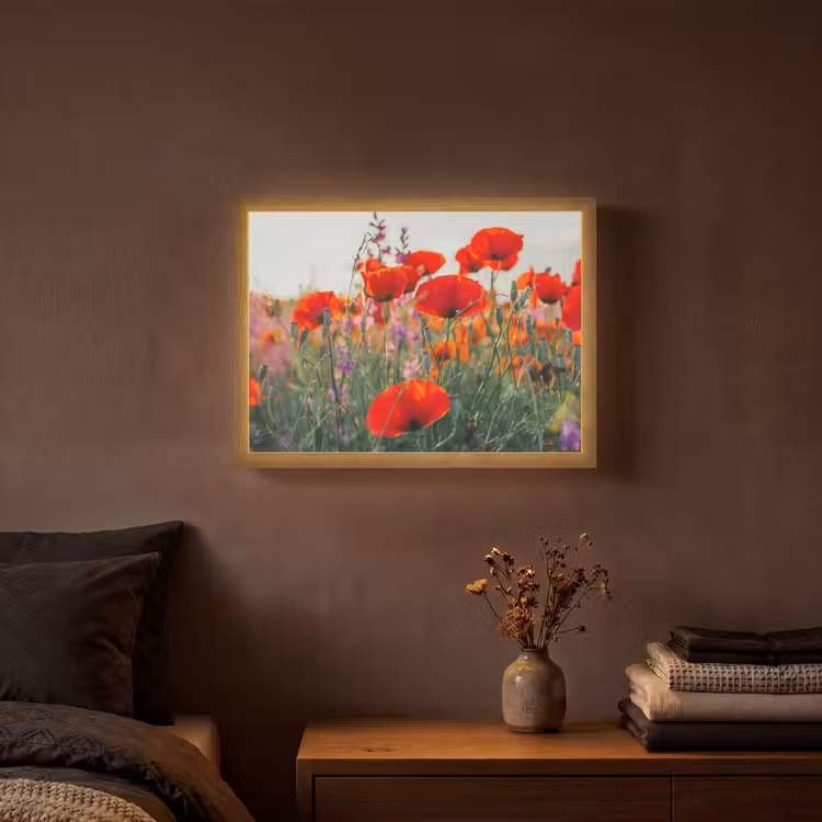 Lightbox - Wandlamp - Klaproos - Bloemen - Rood - Paars - Weide — 3