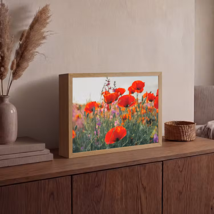 Lightbox - Wandlamp - Klaproos - Bloemen - Rood - Paars - Weide — 4