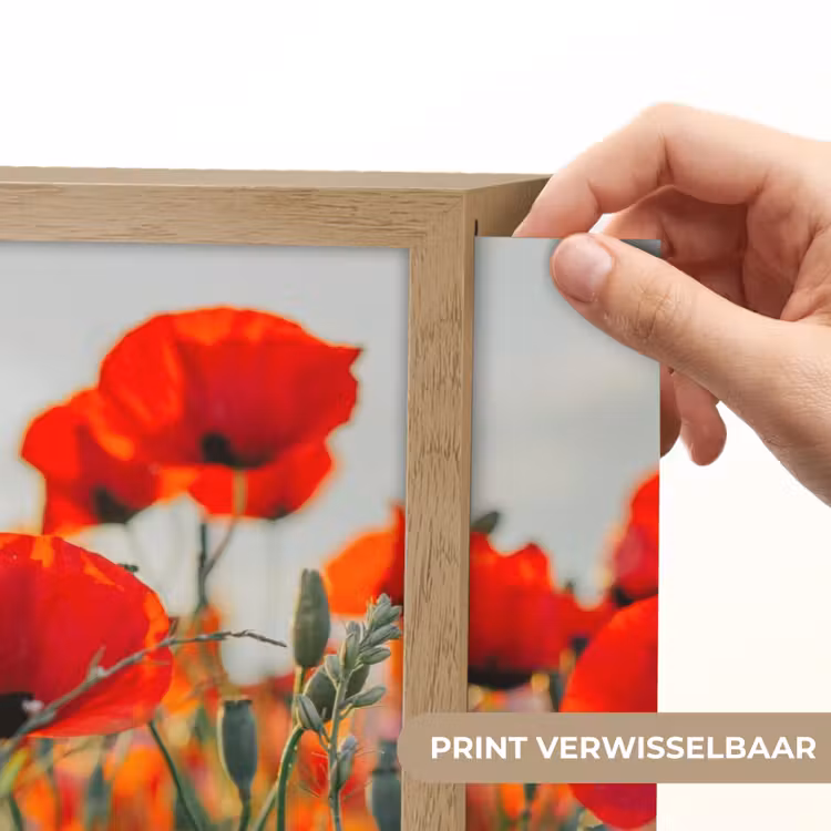 Lightbox - Wandlamp - Klaproos - Bloemen - Rood - Paars - Weide — 5