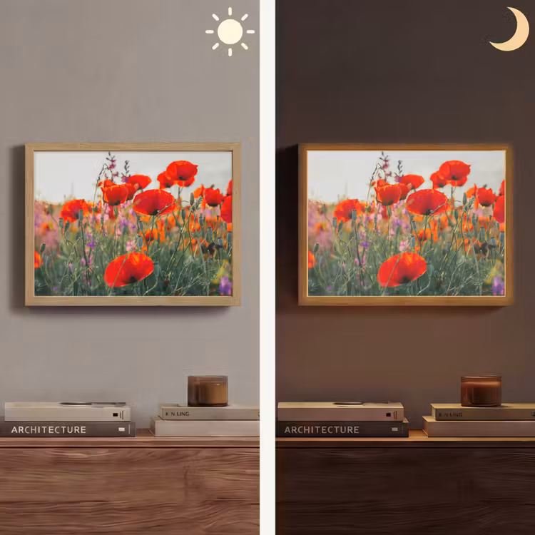 Lightbox - Wandlamp - Klaproos - Bloemen - Rood - Paars - Weide — 6