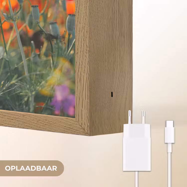 Lightbox - Wandlamp - Klaproos - Bloemen - Rood - Paars - Weide — 7