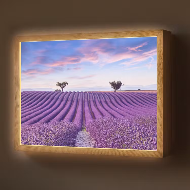 Lightbox - Wandlamp - Lavendel - Natuur - Paars - Bomen - Bloemen — 1